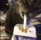 WizzER..