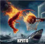 kryto