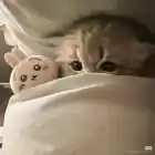 FluffyKrestik