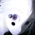 ryosotta
