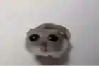 Kosmo