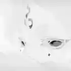 takuzzzov
