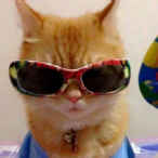agent 1