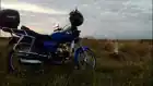 s1mp