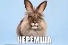 Vlad_Malinka