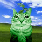 skrgej14