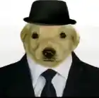 важный_228