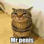 mr pensil
