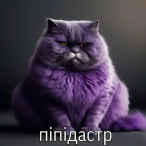 пIпIдамтер