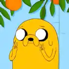 Sparki