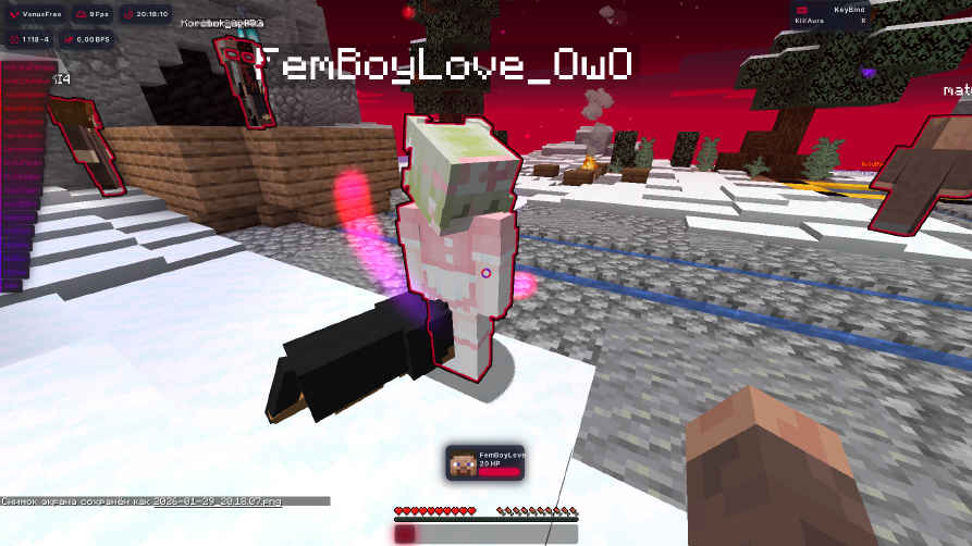 screenshot #2